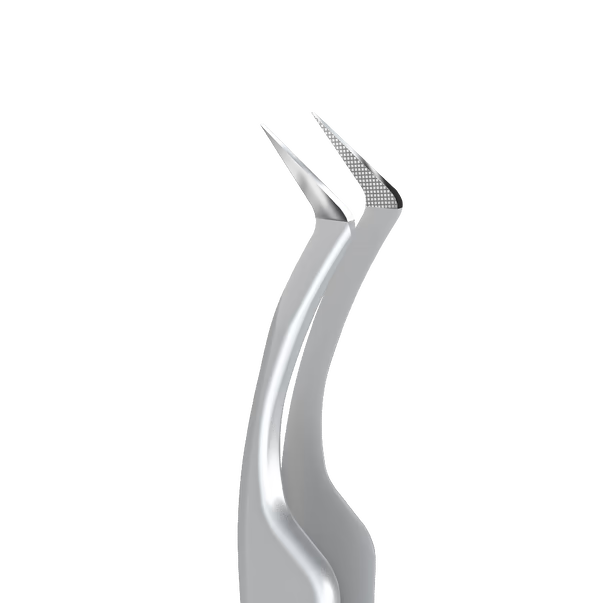 Professional tweezers for eyelashes STALEKS EXPERT 45 TYPE 2 TE-45/2 L-40
