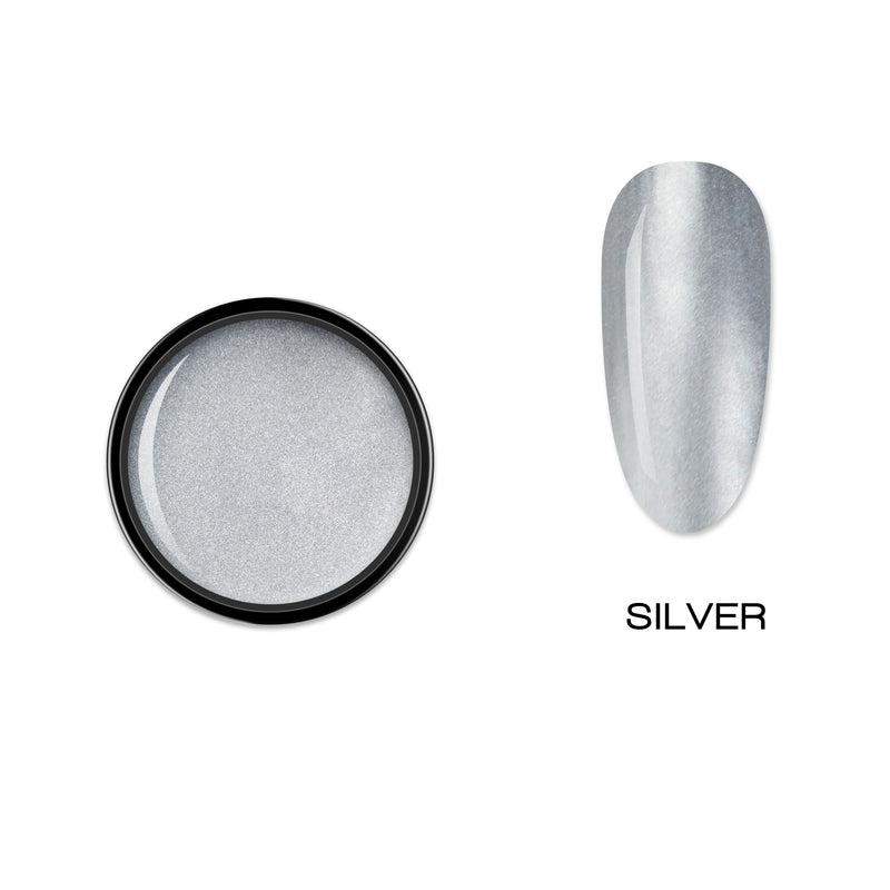 ELITE EMBRACE Professional Metallic Paint Gel Silver 5g  EMGS05